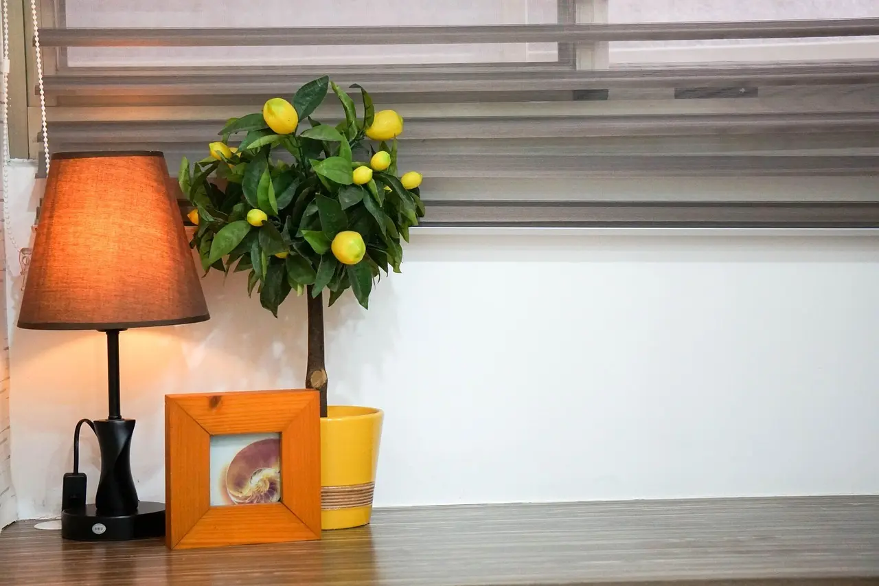 Hylder uden rod: nem reolstyling med regler der virker